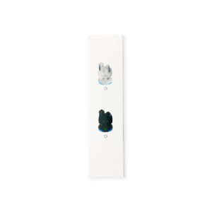Auriculares T-BL001 – Tomate