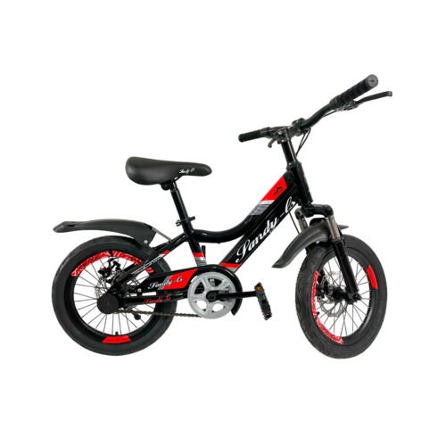 Bicicleta Rodado 20" Pandy Infantil - Frenos de Disco