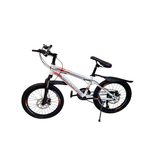 Bicicleta Rodado 26" BDong - Frenos de Disco Citadina