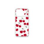 Case